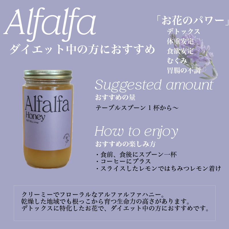 Alfalfa Honey