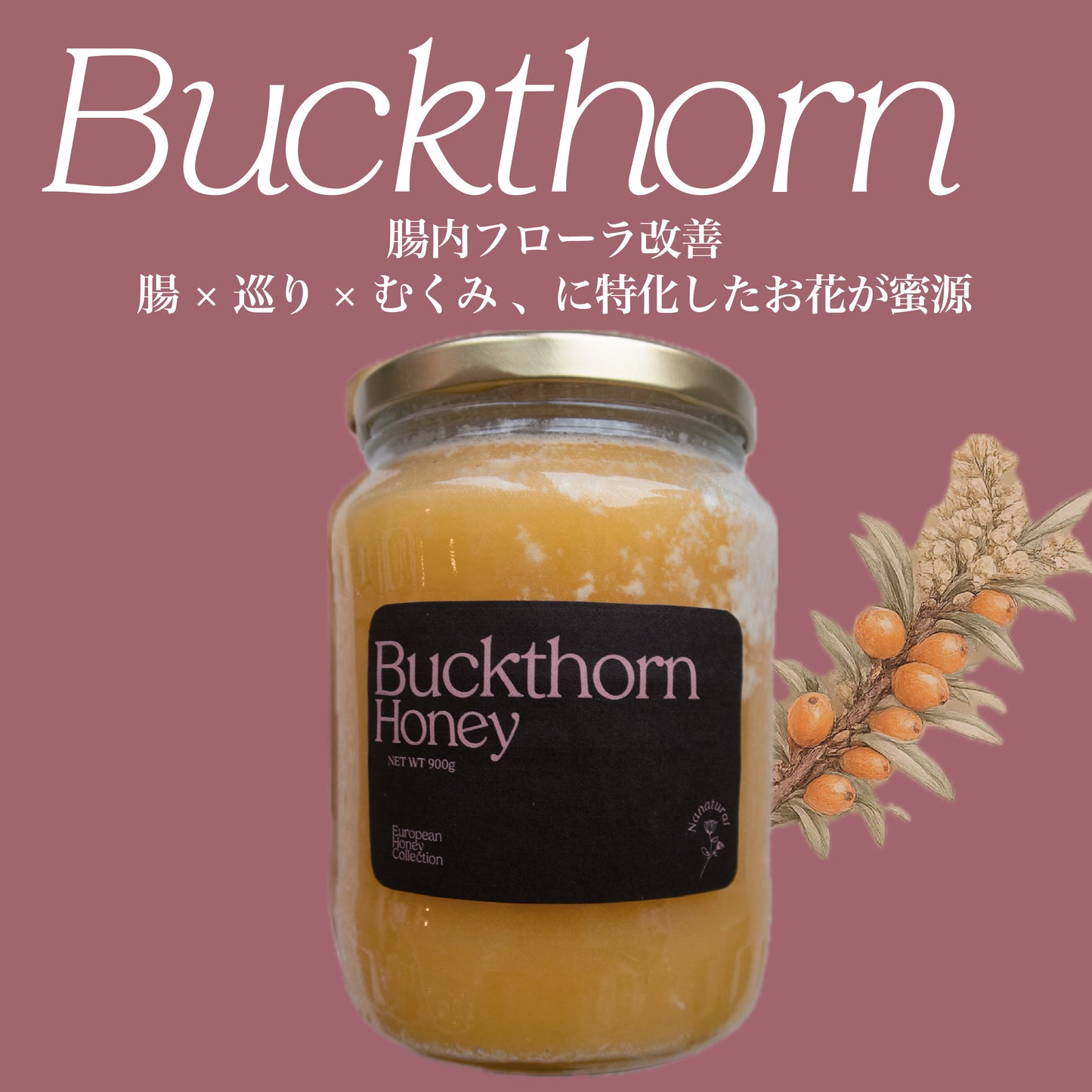 New! Nanaのおすすめ!Buckthorn Honey