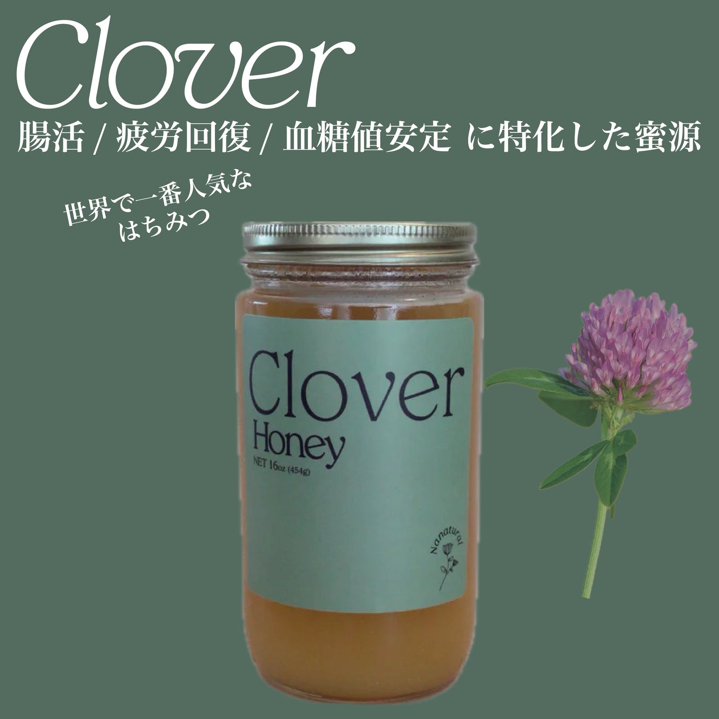 Clover Honey