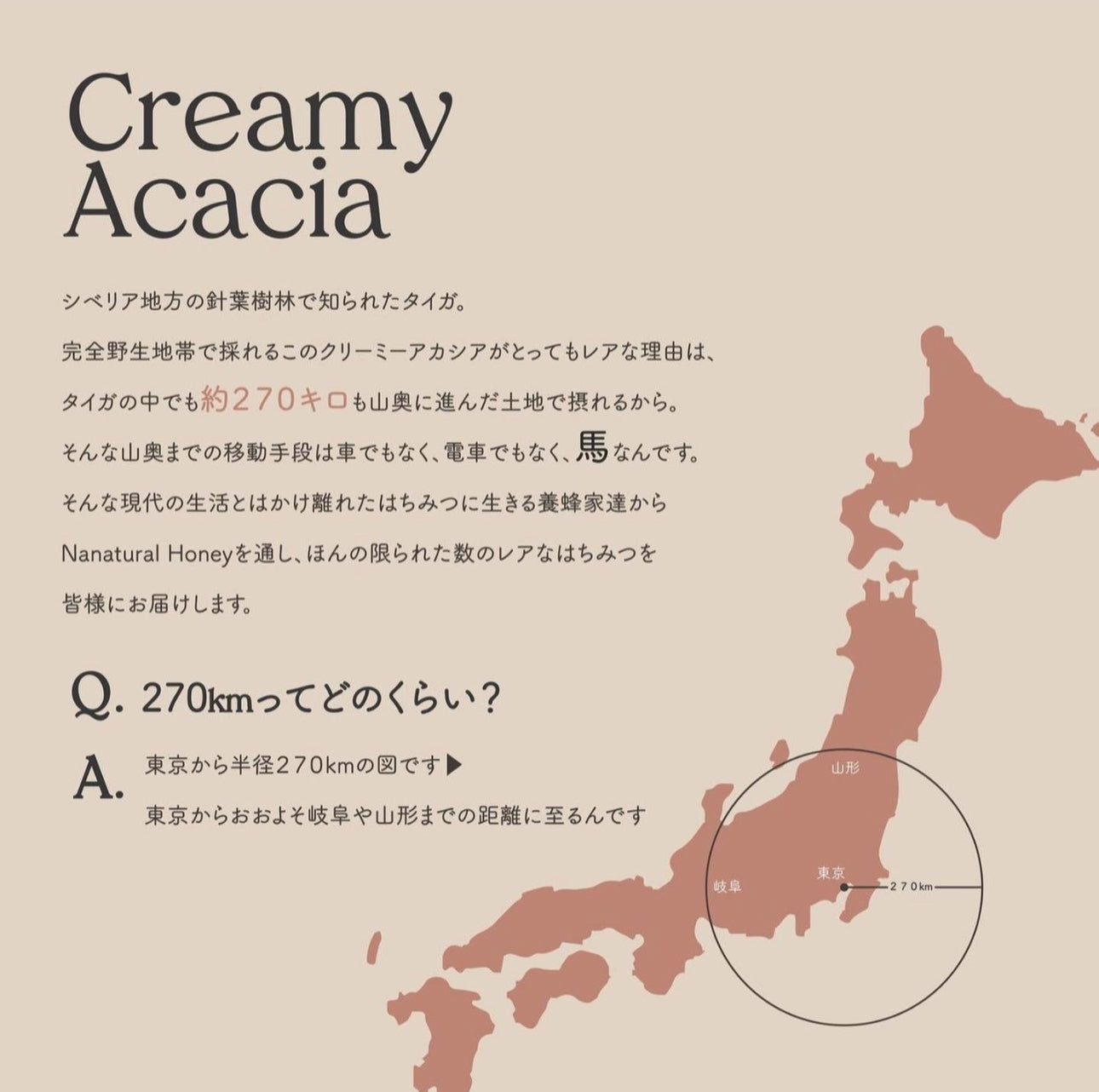Creamy Acacia Honey