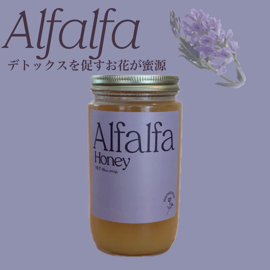 Alfalfa Honey