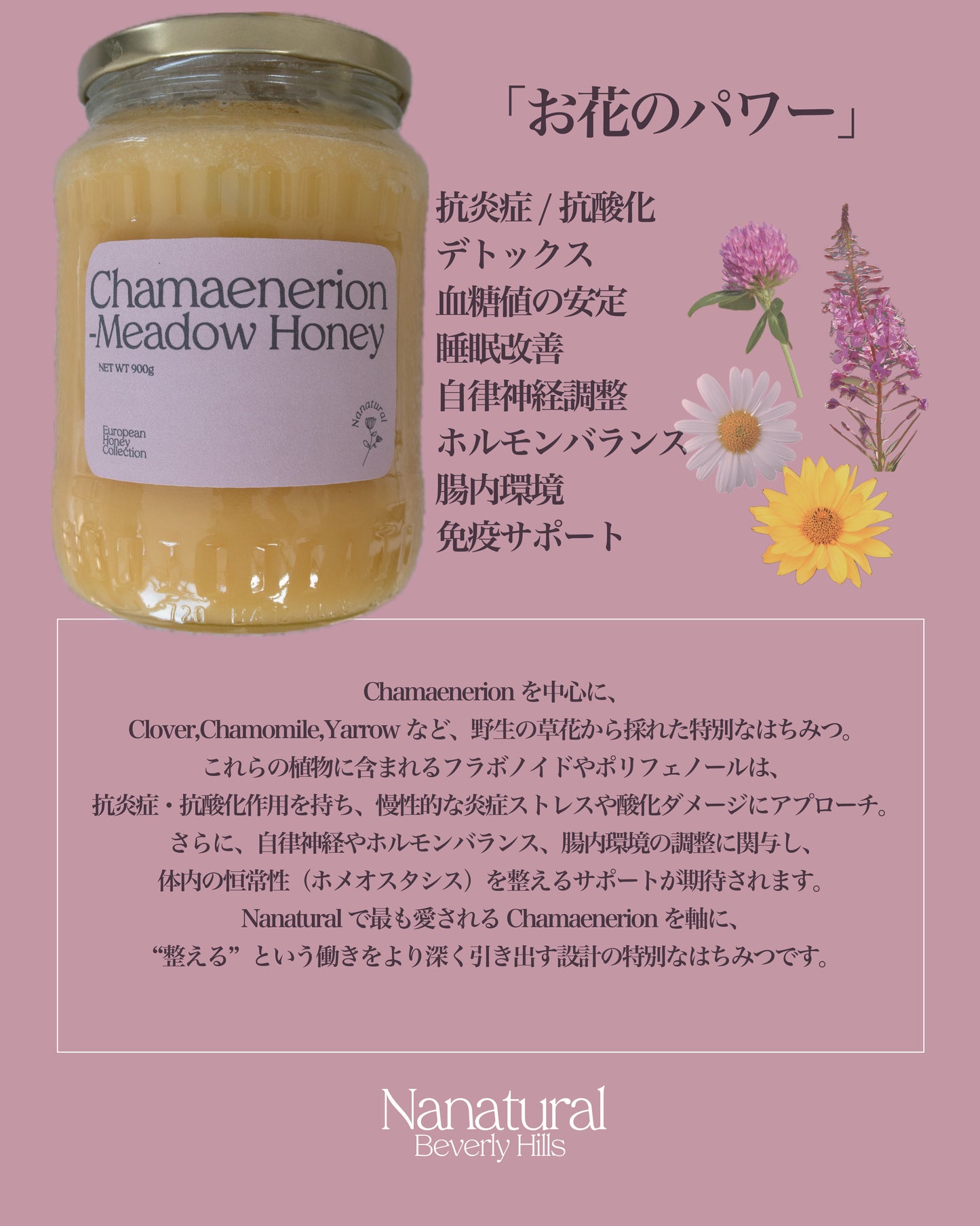 Chamaenerion Meadow Honey