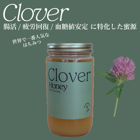 Clover Honey