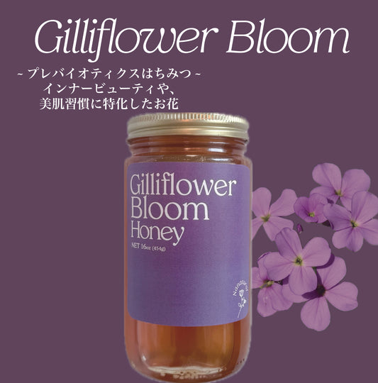 Gillflower Bloom Honey