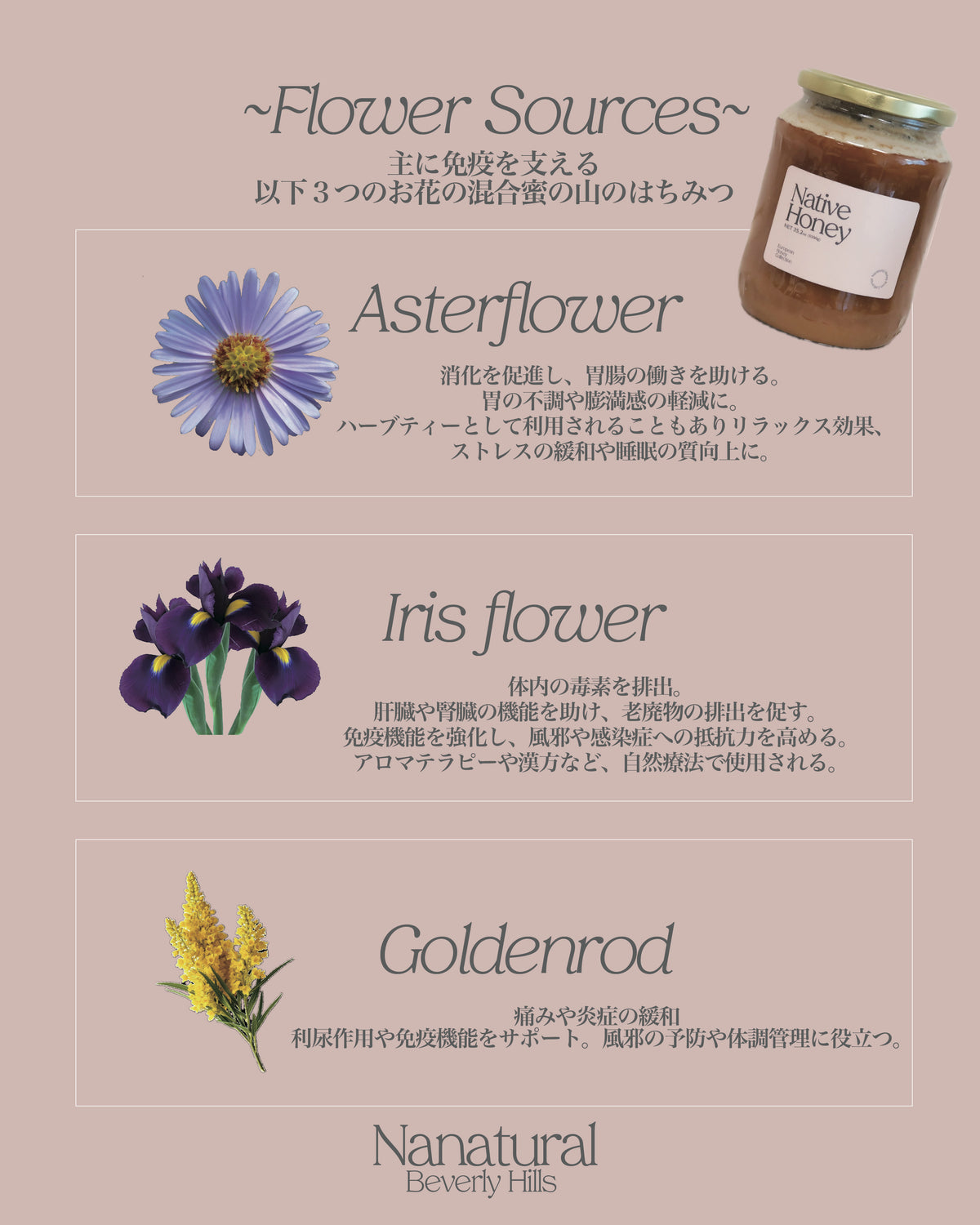 【先着限定Duo】Native/Creamy Acacia