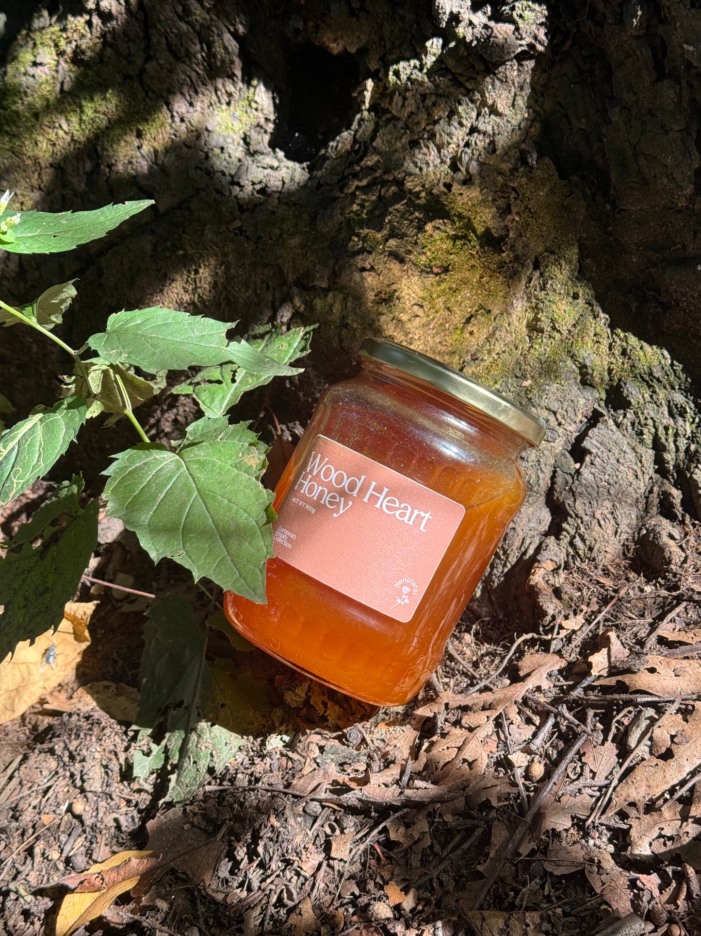 New!【数量限定】Wood Heart Honey