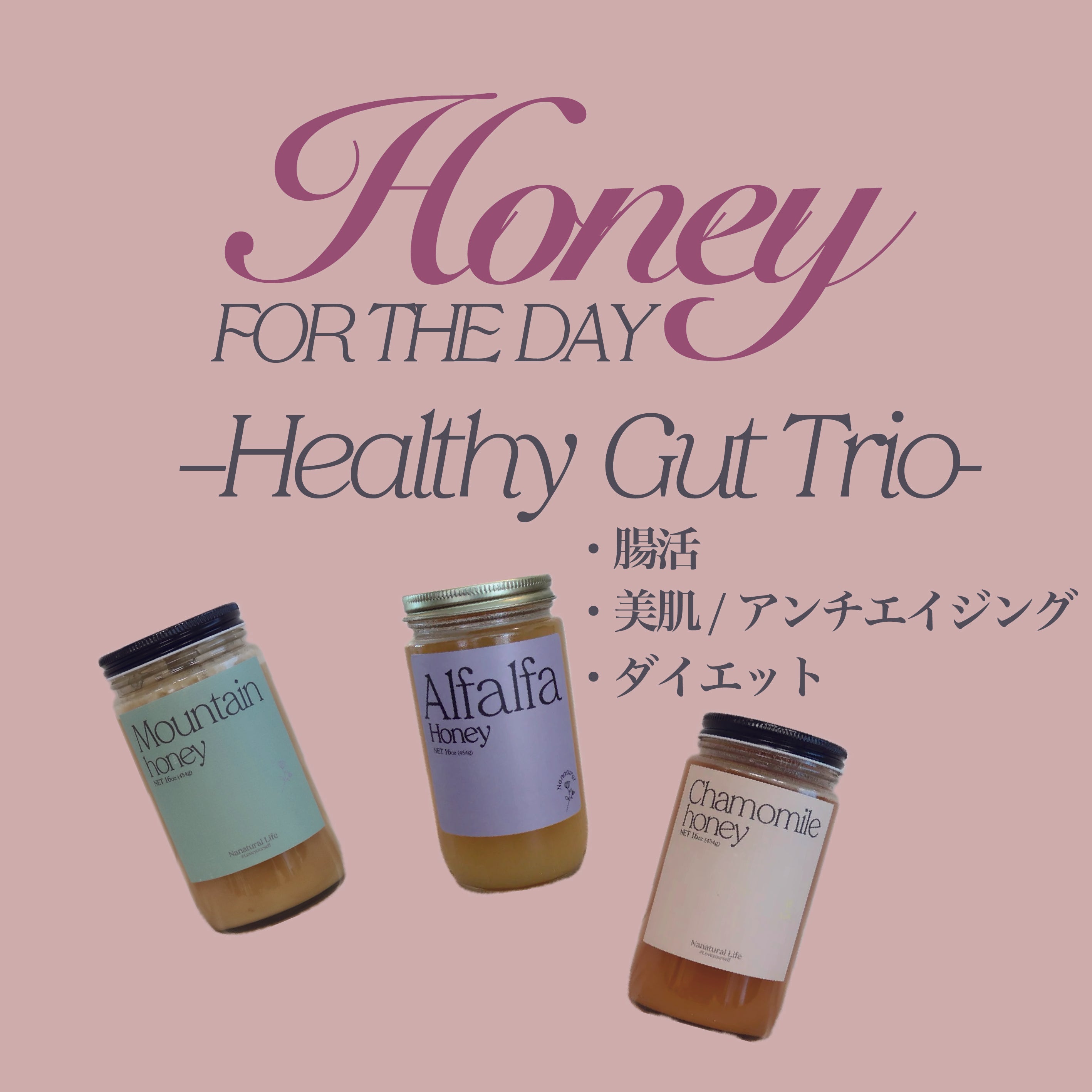 数量限定【Gut Health Trio】 – Nanatural Honey