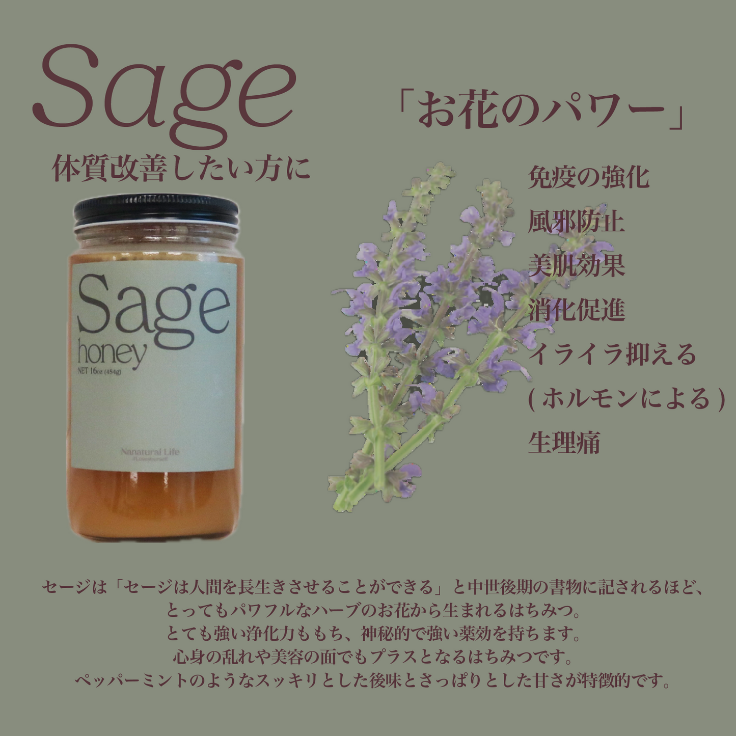 免疫をあげる【Sage Honey】