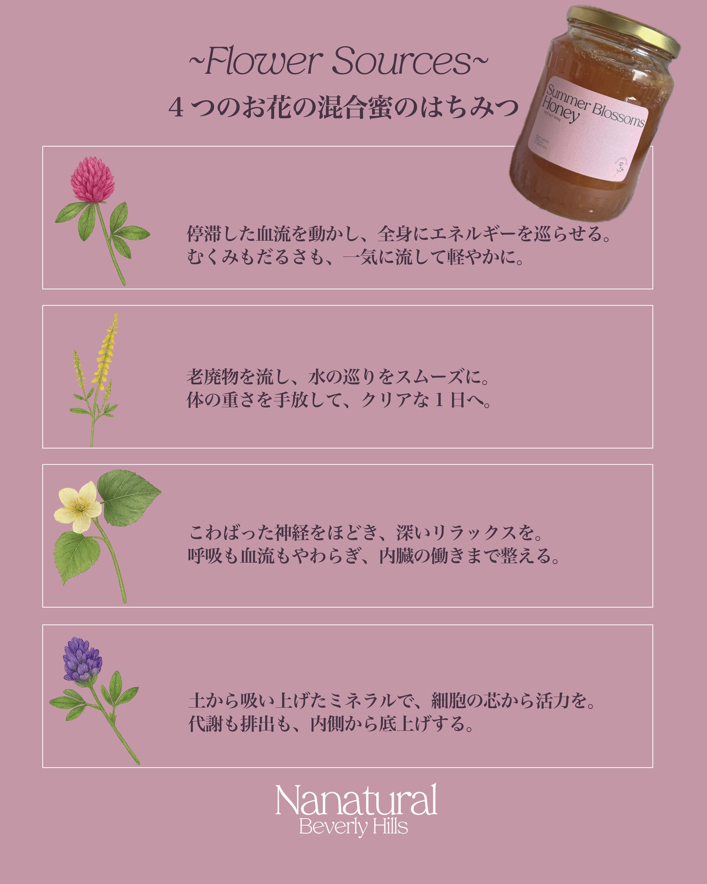 「New!Nanaのおすすめ」Summer Blossoms